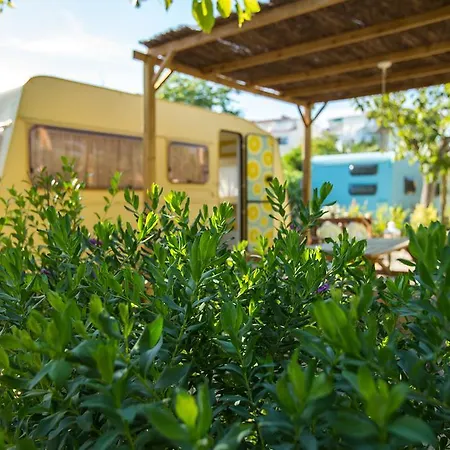 Κάμπινγκ Camping Miramar